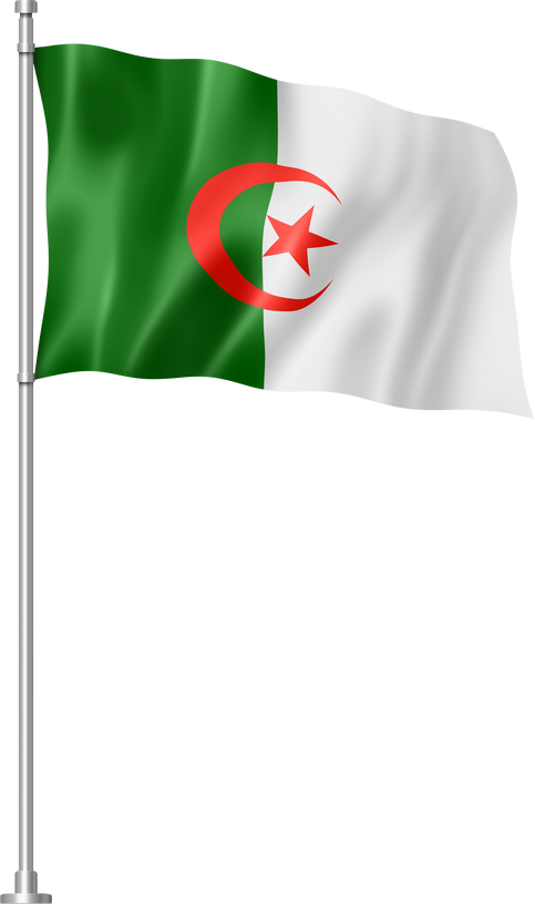Algerian flag isolated on white